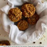 A basket of Healthy Pumpkin Chocolate Chip Muffins and the Healthy Mom Healthy Family logo.