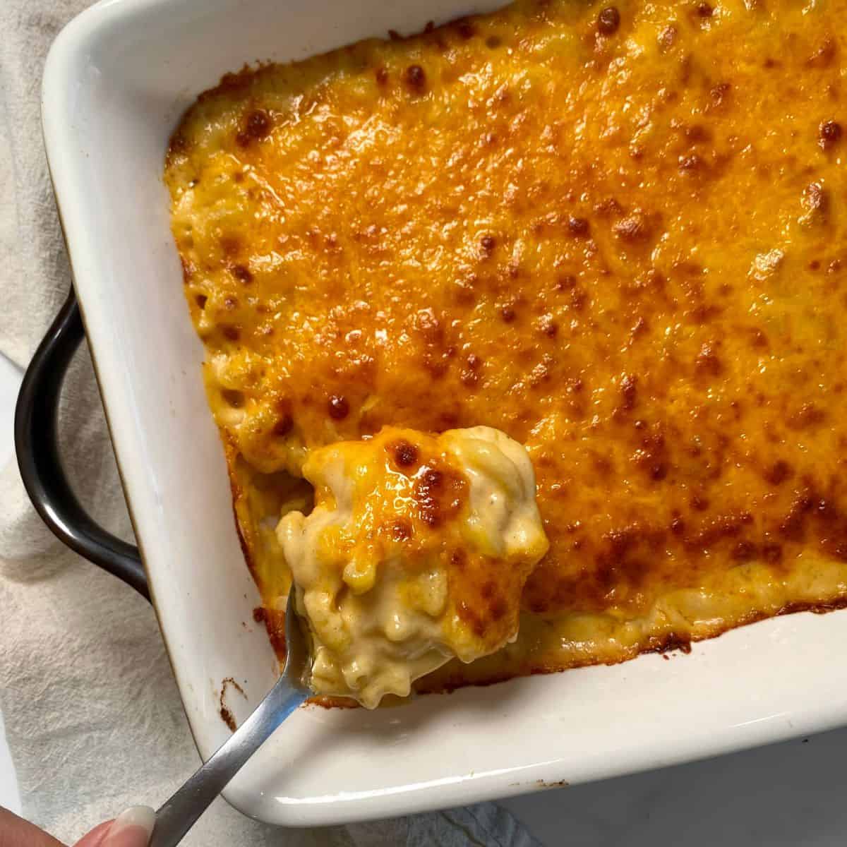 GlutenFree Mac and Cheese Healthy Mom Healthy Family